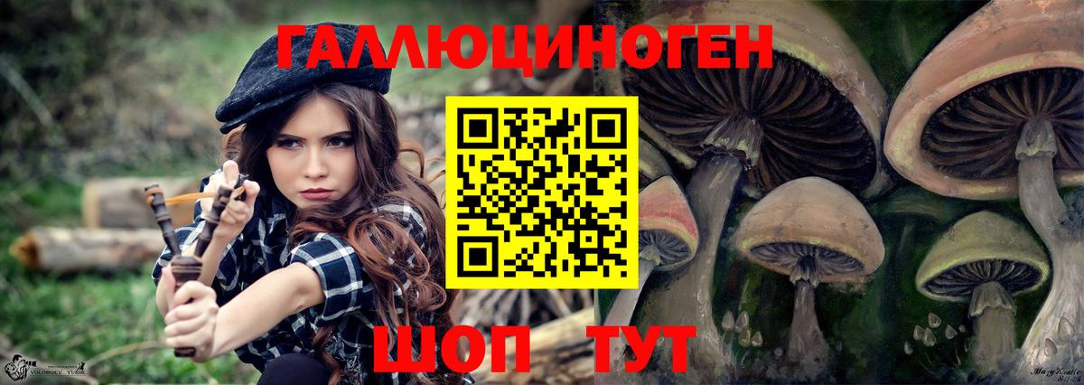 Галлюциногенные грибы Psilocybe  Вход с VPN  Минеральные Воды 