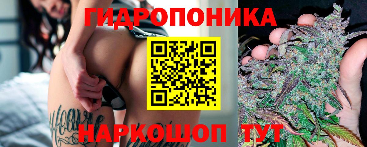Минеральные Воды  Каннабис VHQ  Вход с VPN  МАРИХУАНА OG Kush  Каннабис индика 